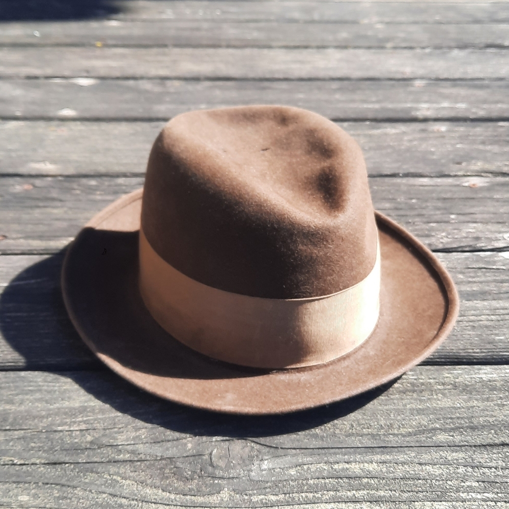 Stylish Brown Fedora Hat